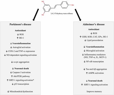 Resveratrol Derivatives as Potential Treatments for Alzheimer’s and Parkinson’s Disease